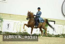 24BUCK_05341 thumbnail