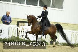 24BUCK_05343 thumbnail