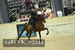 24BUCK_05344 thumbnail