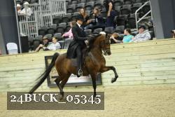 24BUCK_05345 thumbnail
