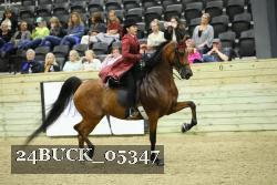 24BUCK_05347 thumbnail