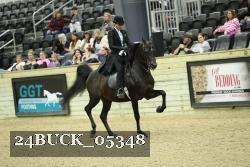 24BUCK_05348 thumbnail