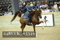 24BUCK_05349 thumbnail