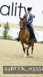 24BUCK_05351 thumbnail