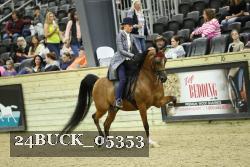 24BUCK_05353 thumbnail