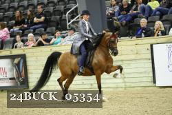 24BUCK_05354 thumbnail