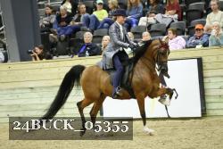 24BUCK_05355 thumbnail