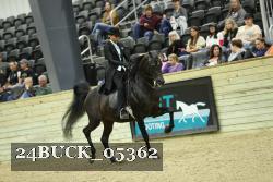 24BUCK_05362 thumbnail