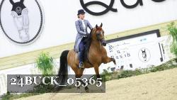 24BUCK_05365 thumbnail