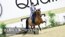 24BUCK_05366 thumbnail