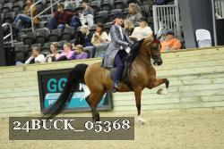 24BUCK_05368 thumbnail