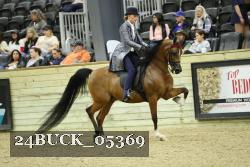 24BUCK_05369 thumbnail