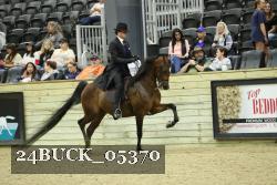 24BUCK_05370 thumbnail