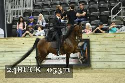 24BUCK_05371 thumbnail