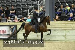 24BUCK_05372 thumbnail