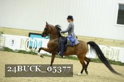 24BUCK_05377 thumbnail