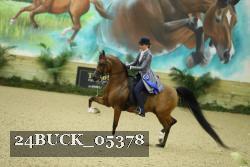24BUCK_05378 thumbnail