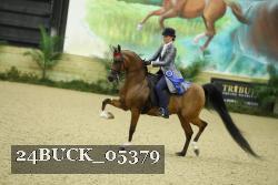 24BUCK_05379 thumbnail