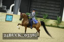 24BUCK_05381 thumbnail