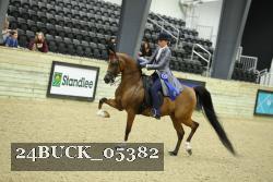24BUCK_05382 thumbnail