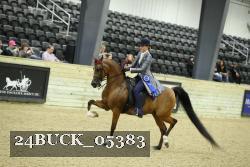 24BUCK_05383 thumbnail