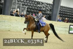 24BUCK_05384 thumbnail