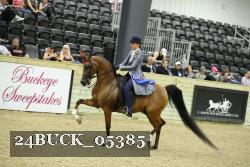 24BUCK_05385 thumbnail