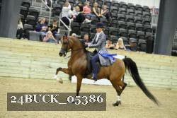 24BUCK_05386 thumbnail