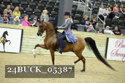 24BUCK_05387 thumbnail