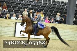 24BUCK_05388 thumbnail