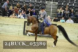 24BUCK_05389 thumbnail