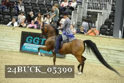 24BUCK_05390 thumbnail