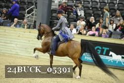 24BUCK_05391 thumbnail