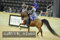 24BUCK_05392 thumbnail