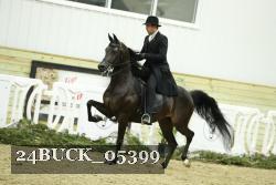 24BUCK_05399 thumbnail