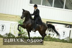 24BUCK_05400 thumbnail