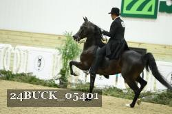 24BUCK_05401 thumbnail