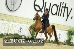 24BUCK_05402 thumbnail