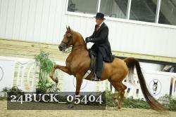 24BUCK_05404 thumbnail