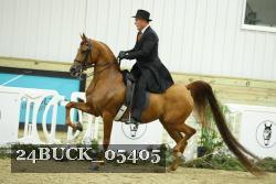 24BUCK_05405 thumbnail