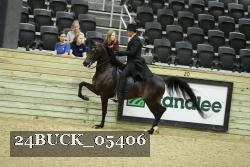 24BUCK_05406 thumbnail