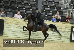 24BUCK_05407 thumbnail