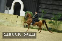 24BUCK_05412 thumbnail