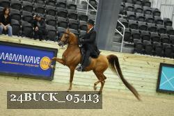 24BUCK_05413 thumbnail