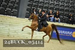 24BUCK_05414 thumbnail