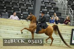 24BUCK_05415 thumbnail