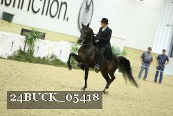 24BUCK_05418 thumbnail