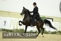 24BUCK_05420 thumbnail