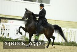 24BUCK_05421 thumbnail