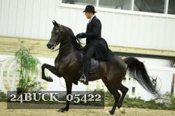 24BUCK_05422 thumbnail